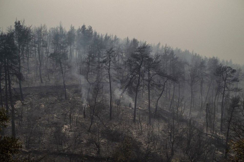 Yunanistan'da orman yangınlarıyla mücadele: Evia adasında onlarca ev ve iş yeri kül oldu - 21