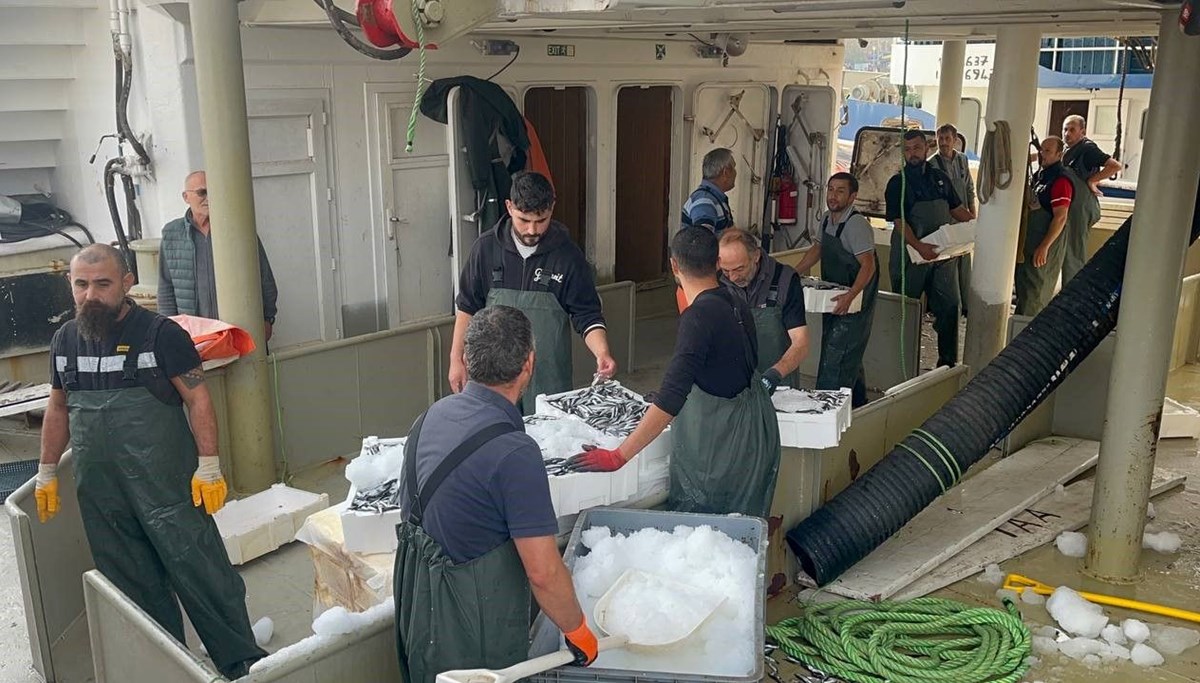 Karadeniz'den kasalarca hamsi çıktı