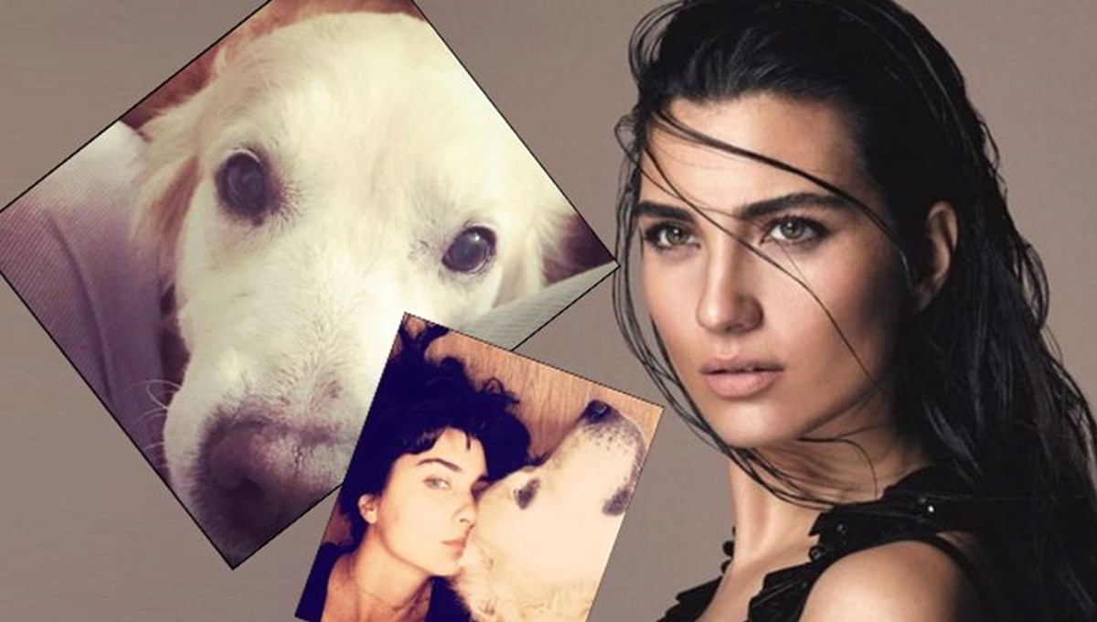 Tuba Büyüküstün köpeği Korsan'ı kaybetti: Bana çok şey öğretti Tuba Büyüküstün köpeği Korsan'ı kaybetti: Bana çok şey öğretti