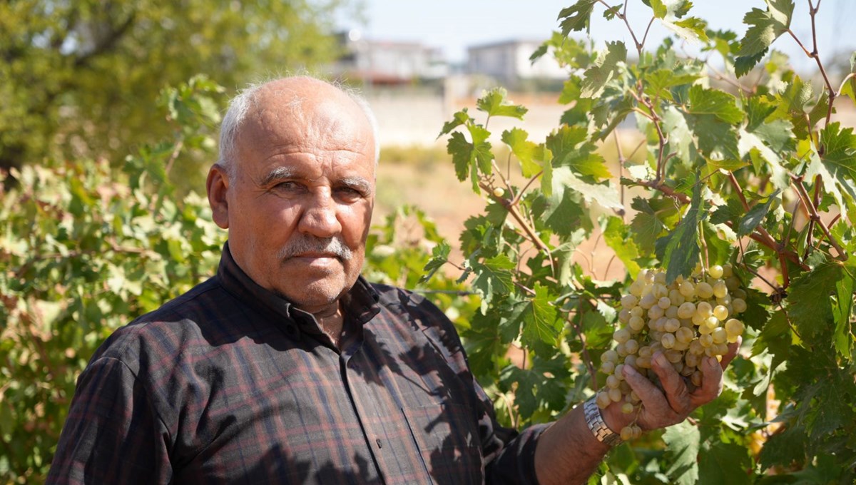 Üreticilere örnek oldu: Baba ve oğul yıllarca emek vererek kurdu Üreticilere örnek oldu: Baba ve oğul yıllarca emek vererek kurdu