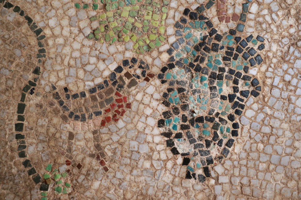 Balatlar Kazısı’nda, Zeugma'dakilere benzer mozaikler bulundu - 18
