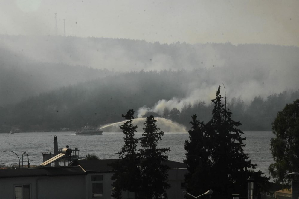 Bodrum'da yanan orman alanları yeşermeye başladı - 3