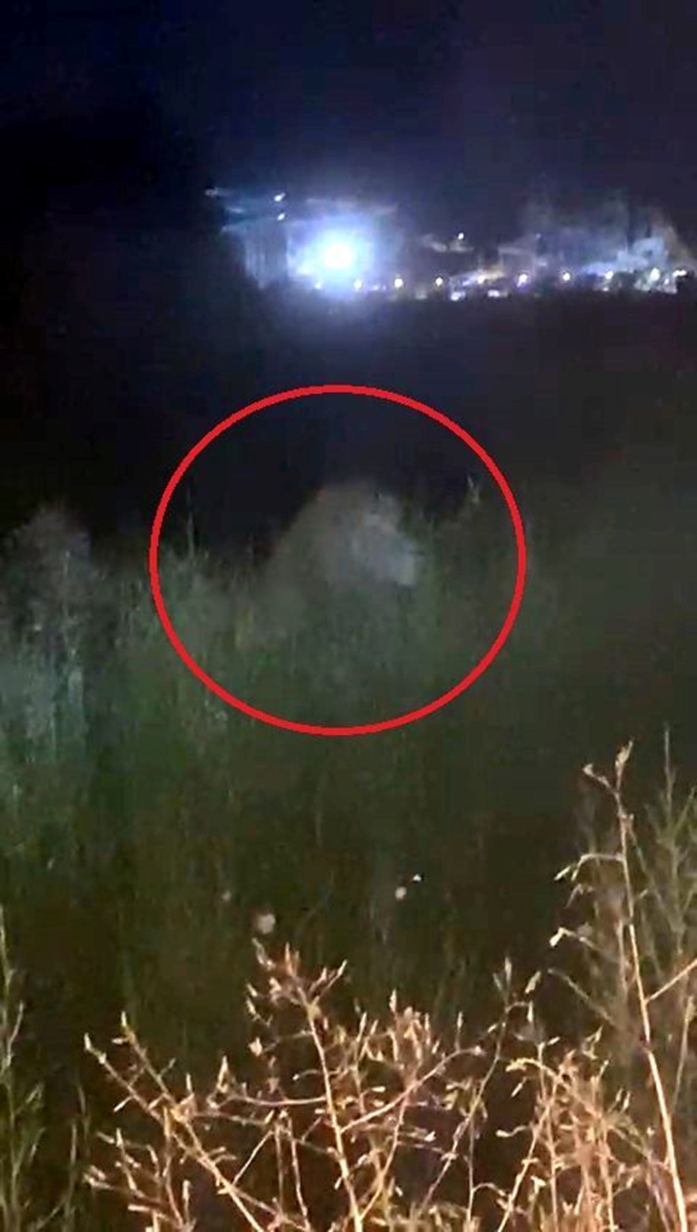 Manavgat'ta firari aslan aranıyor: Bir kişiyi ağır yaraladı - 5