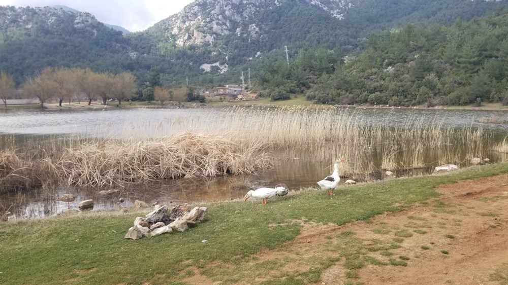 Marmara Gölü kuruyunca göçmen kuşların rotası değişti - 6