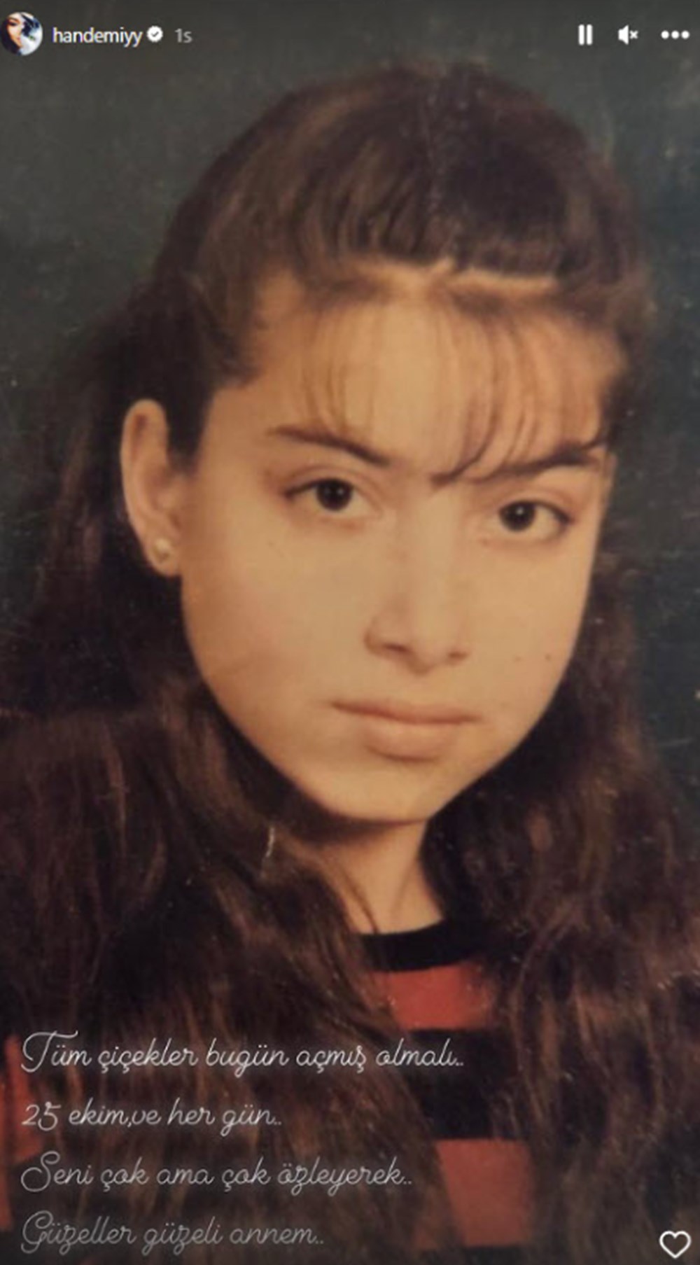 Hande Erçel'den duygusal mesaj - 3