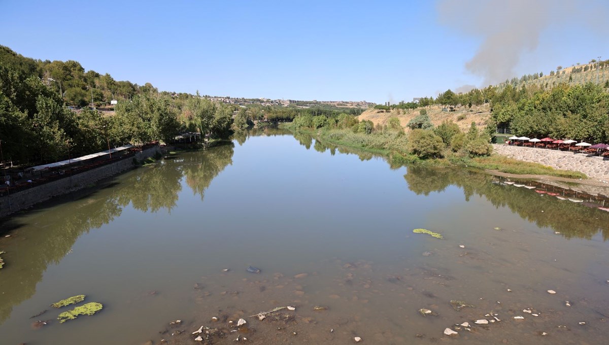 Toplu balık ölümleri tedirgin etti: Uzmanı nedenini açıkladı