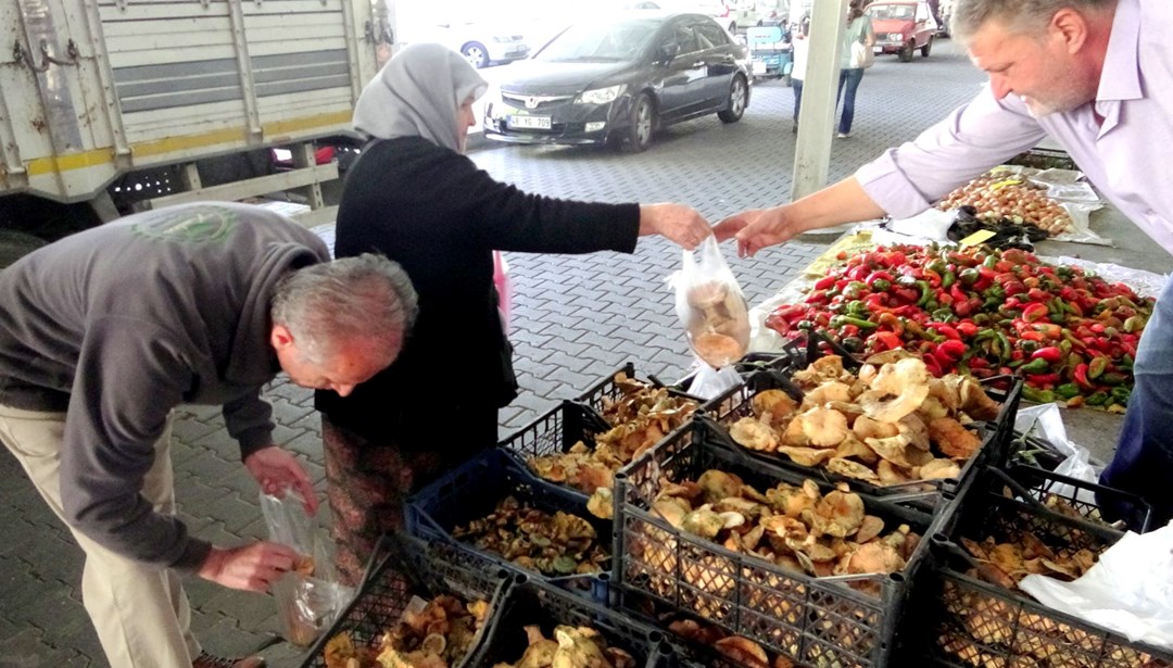 Doğada kendiliğinden yetişiyor: Kilosu 150 TL'den tezgahta yerini aldı