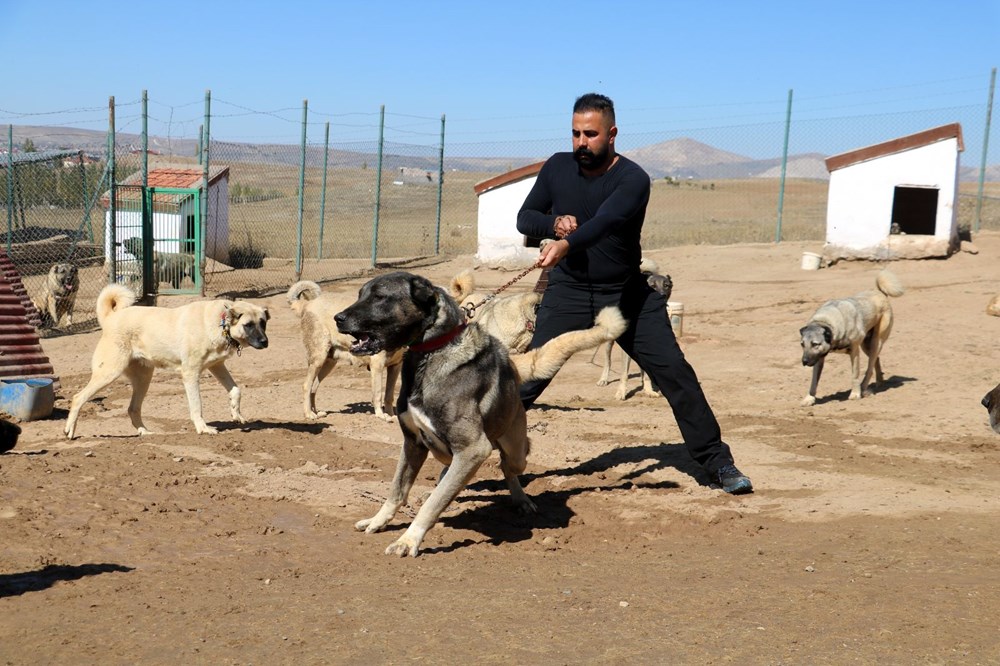 Yurtdışından talep yağıyor, lüks otomobil fiyatına alıcı buluyor - 7