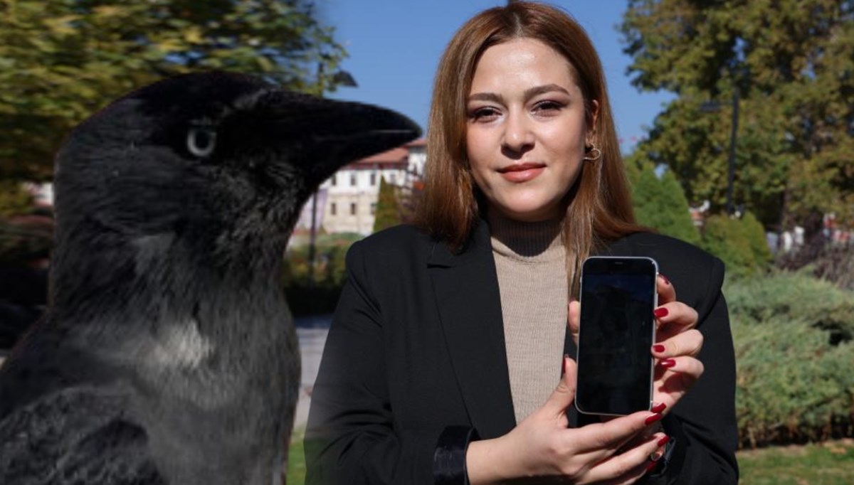 Sosyal medyada viral olan karga videosu üniversiteli Azra’yı karakolluk etti Sosyal medyada viral olan karga videosu üniversiteli Azra’yı karakolluk etti