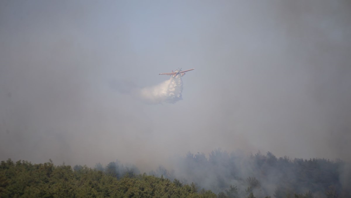 Yedi ilde orman yangını: Dördü kontrol altına alındı, üçüne müdahale sürüyor