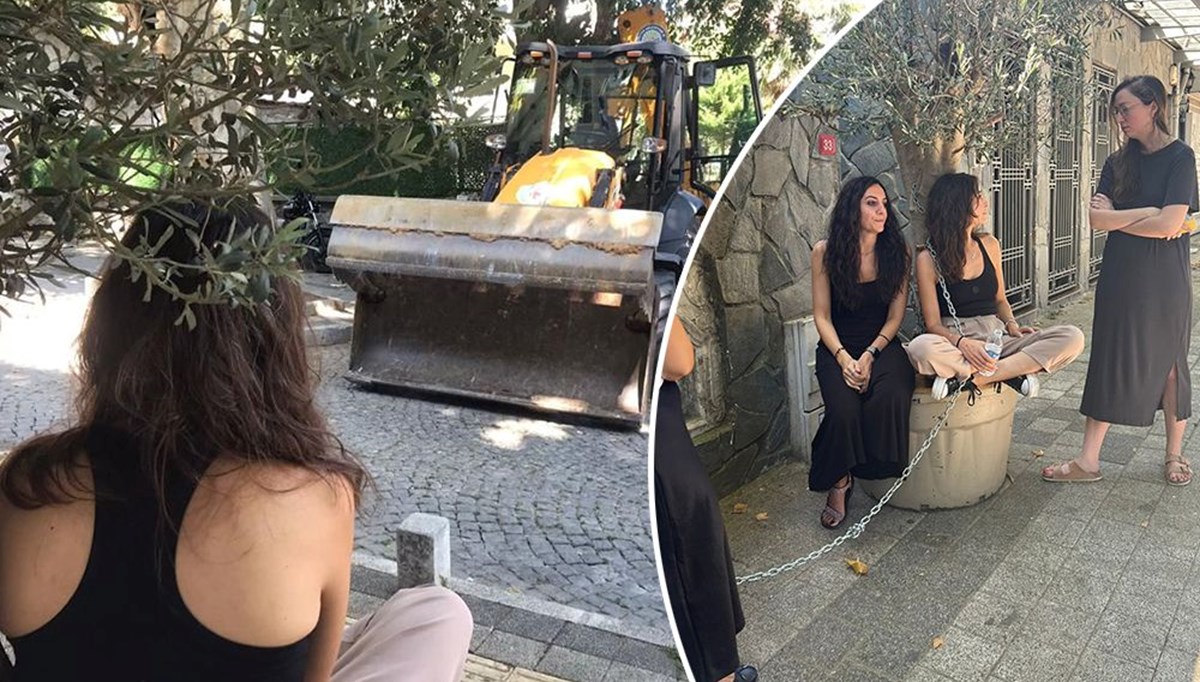 Emirgan’da zeytin ağacı tartışması: Kafe sahibi kendini ağaca zincirledi Emirgan’da zeytin ağacı tartışması: Kafe sahibi kendini ağaca zincirledi