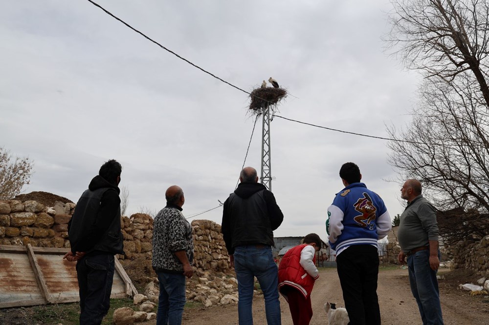 Sivas'ta Baharın Müjdecisi Leylekler, 40 Yıllık Coşkulu Bir Ritüelle Karşılanıyor 75 WZQIF4sGIEeB6A0twqvpeA