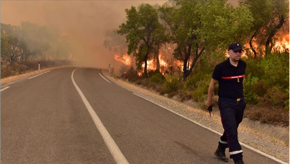Fas'ın kuzeyindeki orman yangınları 5 gündür söndürülemiyor