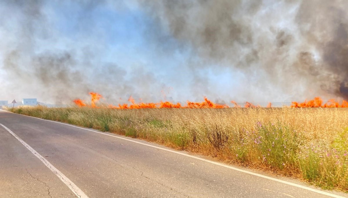 Tekirdağ’da 250 dönüm buğday yandı