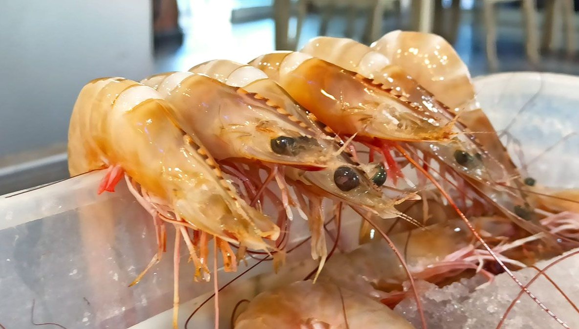 Karides fiyatlarında düşüş