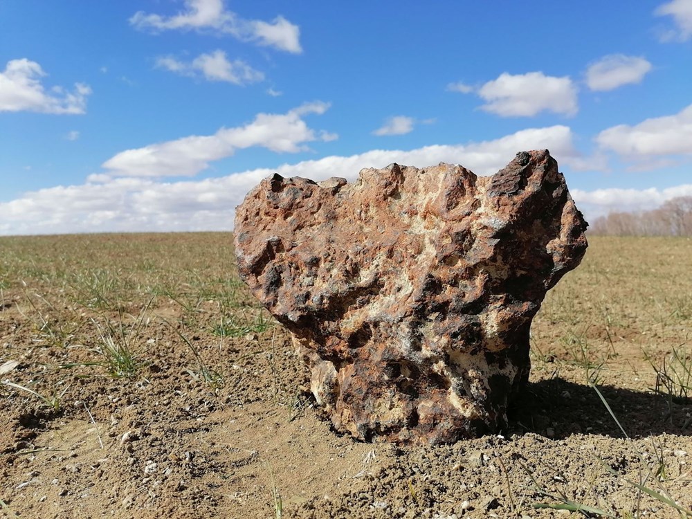 Çorum'dan ABD'ye: Tarlasında buldu, 1.3 milyon liraya sattı - 1