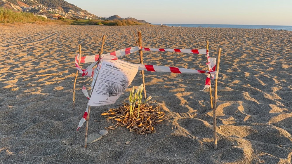 Koparmanın cezası 557 bin TL: Koruma altına alındı - 4