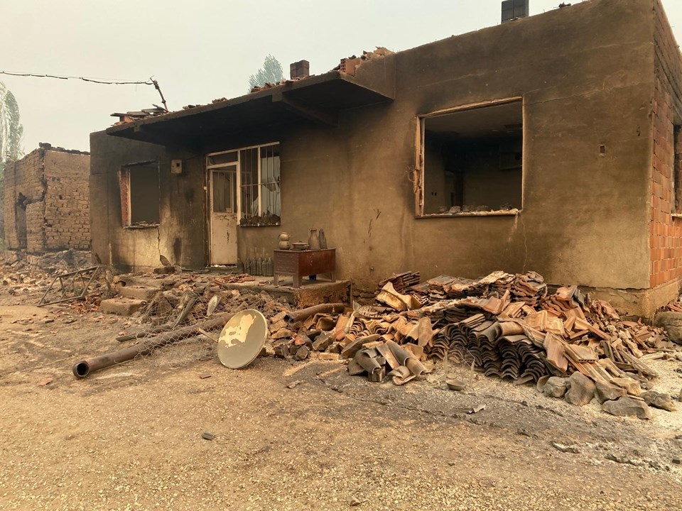 6 şehirde orman yangını | Sakarya'daki yangın Bilecik'e sıçradı: Köyler boşaltıldı - 1