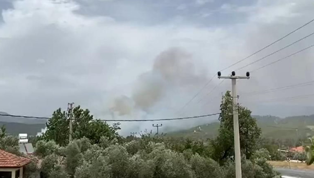 Muğla Menteşe’de orman yangını: Ekiplerin müdahalesi sürüyor