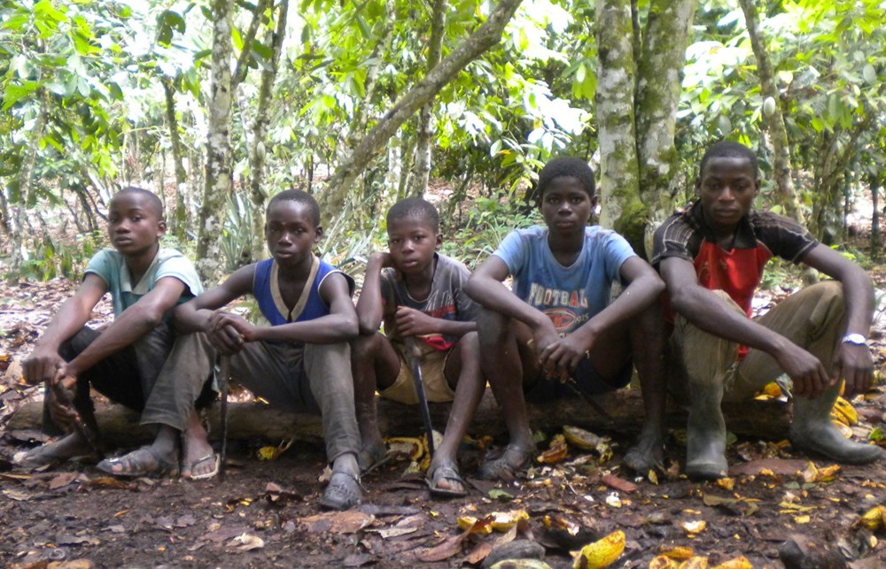 Çikolata herkese mutluluk getirmiyor: Dünyada 1, 5 milyon çocuk kakao endüstrisinde çalışıyor - Son Dakika Dünya Haberleri | NTV Haber