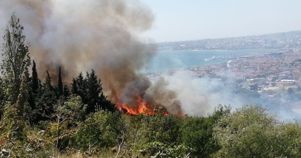 İstanbul'da orman yangını - 2