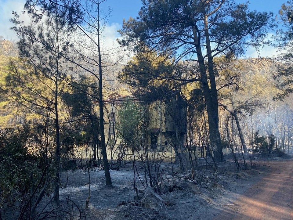 Antalya, Adana, Mersin, Muğla ve Osmaniye'de orman yangınları - 7