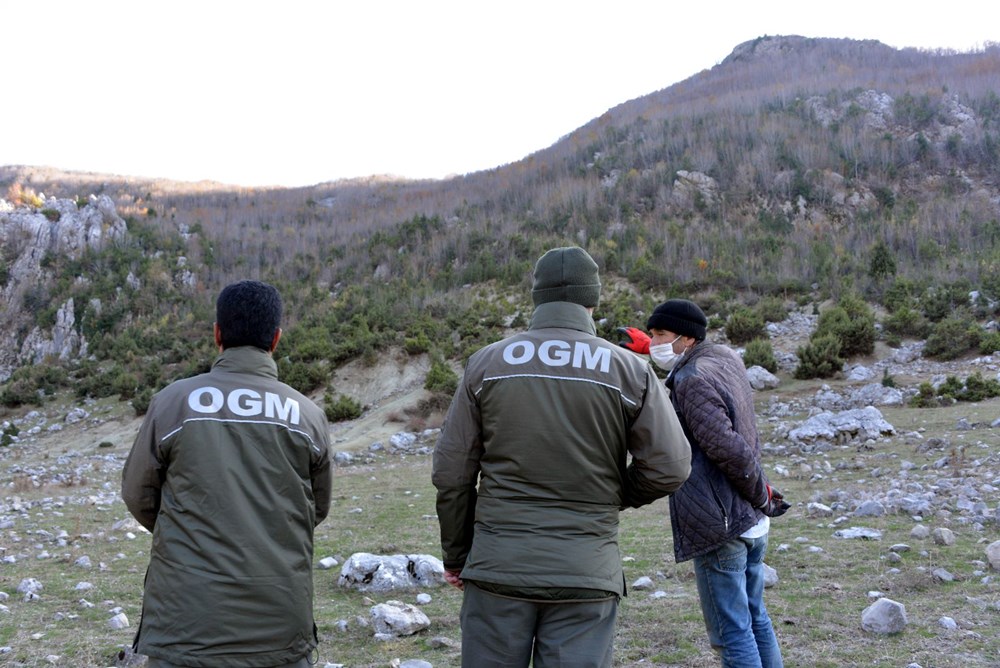 Dağlardan topladıkları defneden günlük 500 lira kazanıyorlar - 6