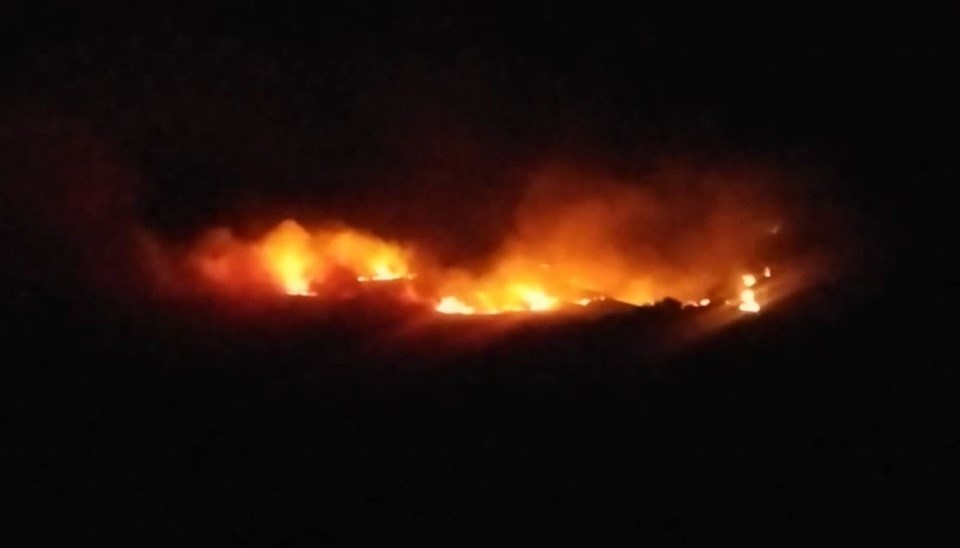 Tunceli'de çıkan örtü yangını 2 saatte söndürüldü - 1