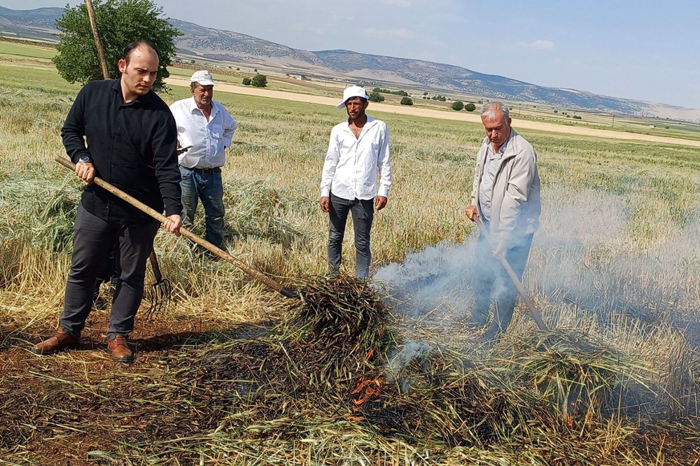 Firik dönemi başladı: Tadını damakta bırakıyor 75 WjYSwPtiXUqoofI8ZAhP0Q