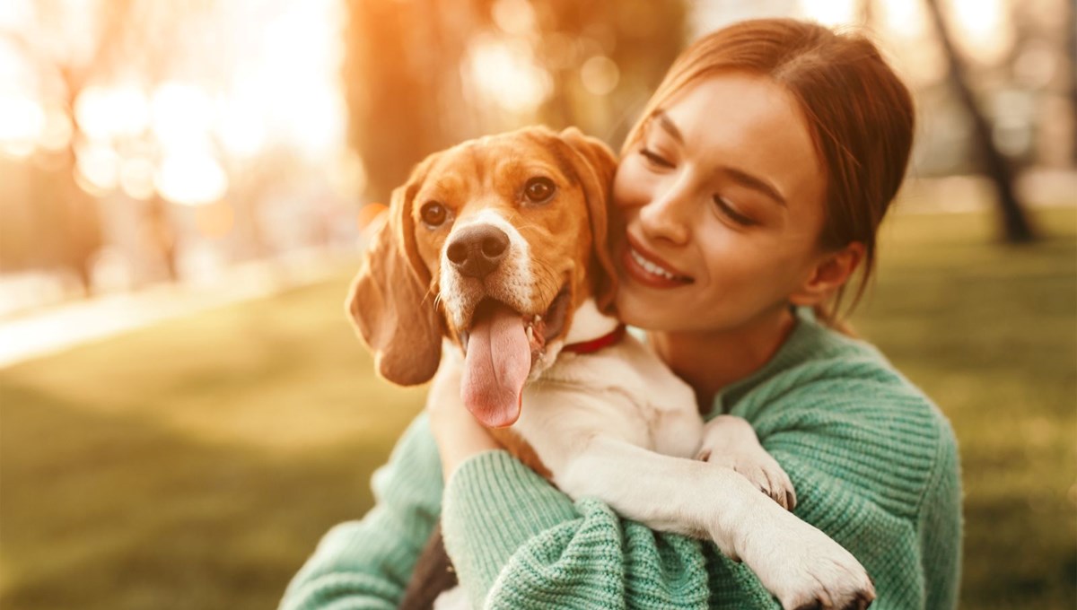Araştırma: İnsan ve köpek göz göze gelince beyinleri senkronize oluyor Araştırma: İnsan ve köpek göz göze gelince beyinleri senkronize oluyor