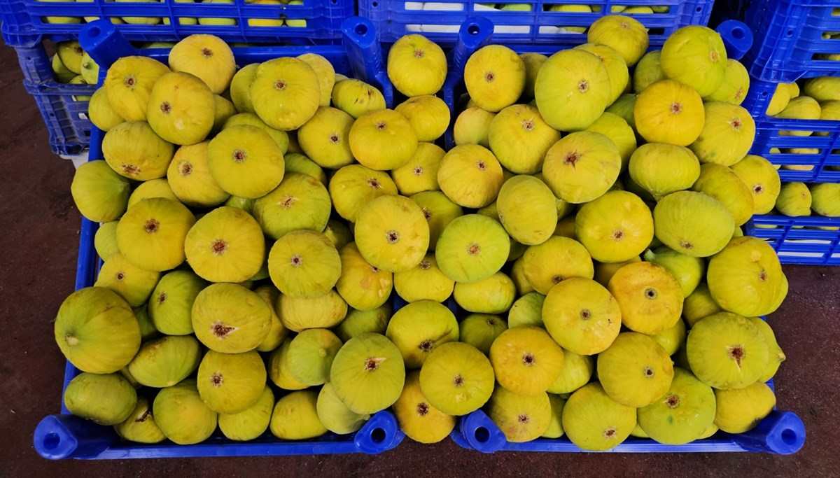 Pazarda kilosu 150 TL'ye satılıyor: Damak çatlatan lezzet tezgahlarda yerini aldı