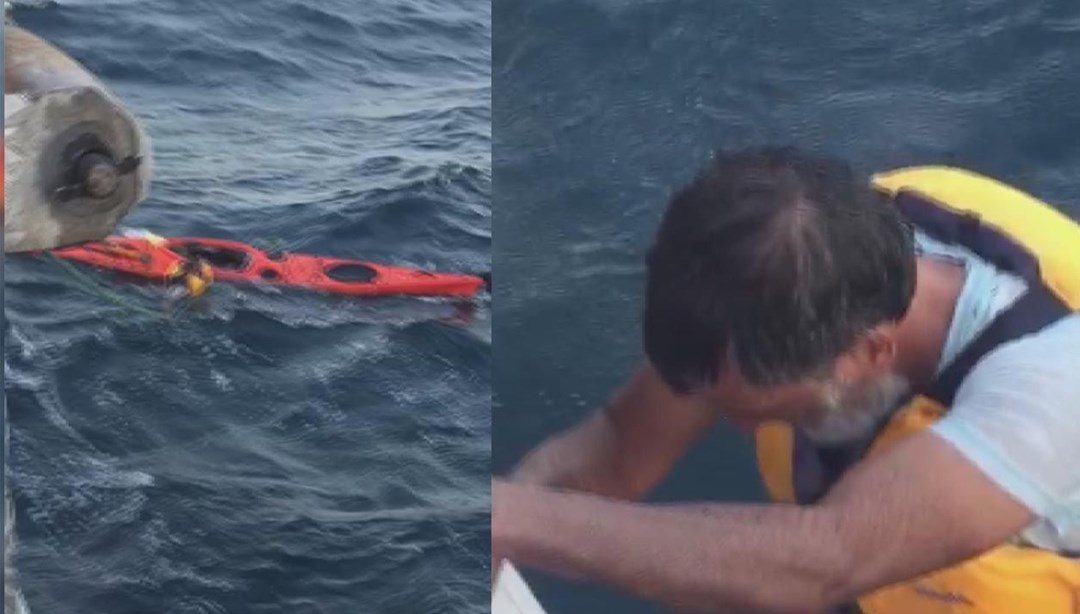 deniz kıyısında koşan ala köpek