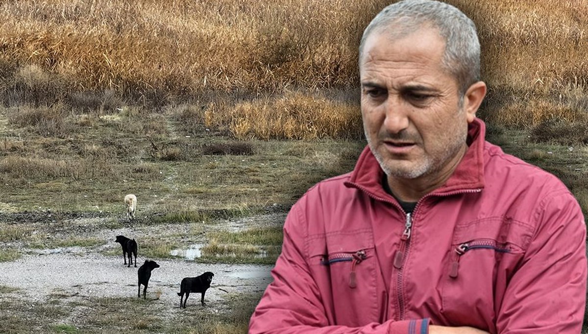 Ankara’da sahipsiz köpeklerin saldırısına uğrayan Tunahan’ın durumu iyiye gidiyor