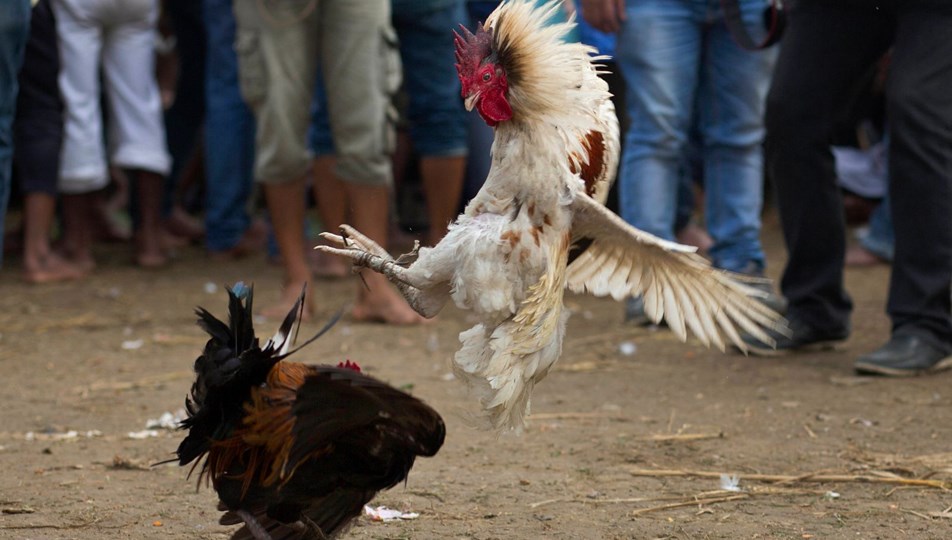 airbender anime binbir gece 41 bölüm izle