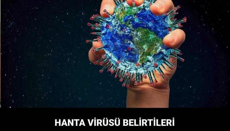 Hanta virüs nedir, belirtileri neler? 
Hanta virüs bulaşma yolları