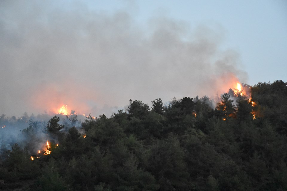 Bilecik'te 100 dönümlük alanda etkili olan yangını söndürmek için çalışmalar devam ediyor
