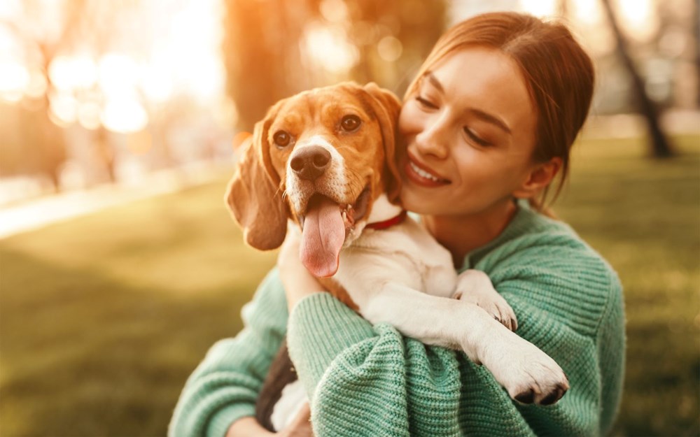 Araştırmalara
göre insanlar köpeklerini kişilik özelliklerine göre seçiyor - 1