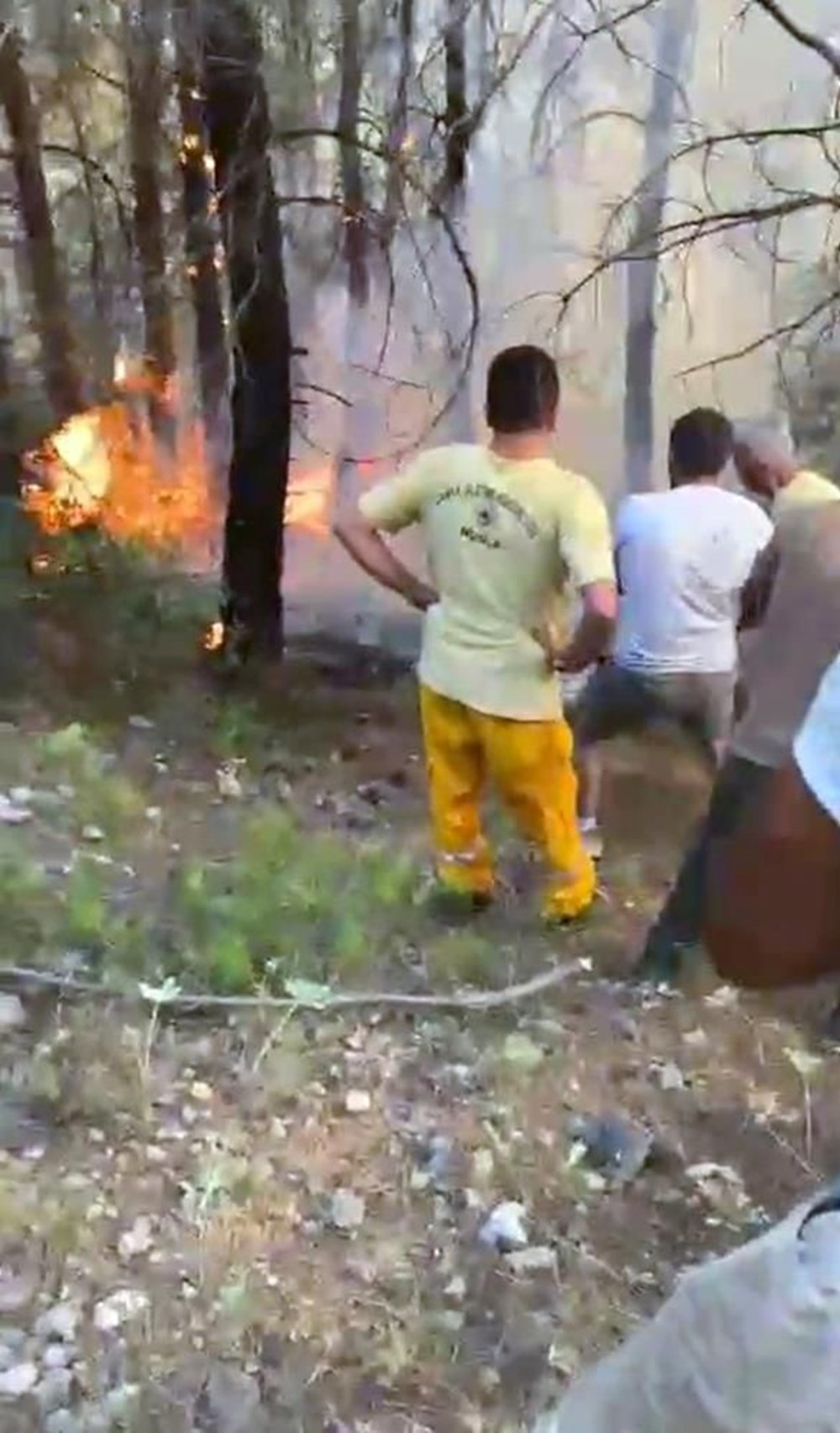 “Muğla’nın üstünde büyü var” deyip ormanı yaktı - 4