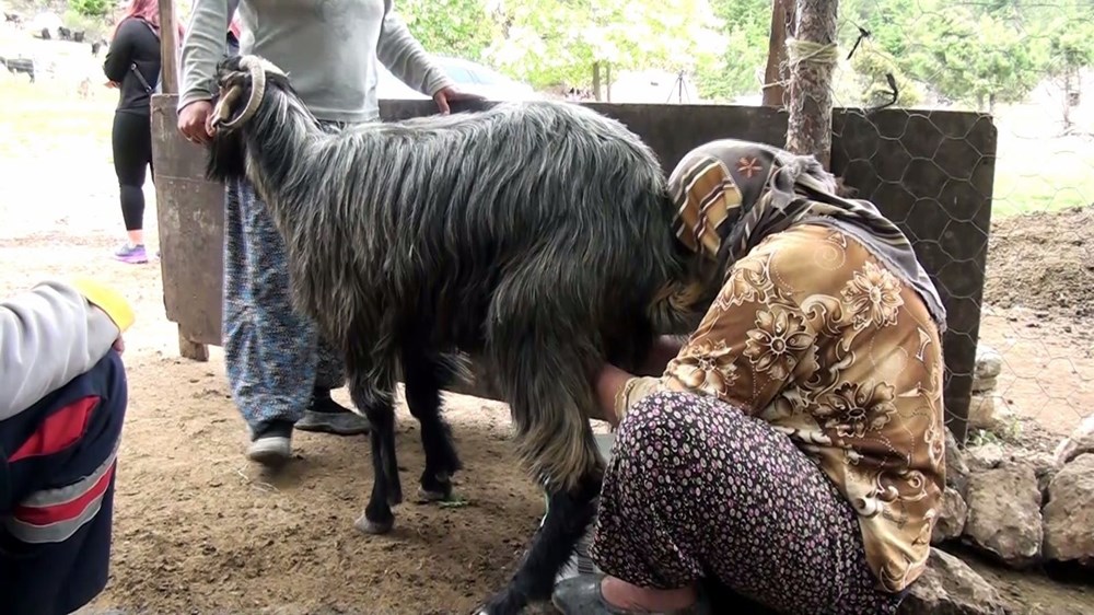 Yörüklerin yüzyıllardır değişmeyen iftar geleneği - 12