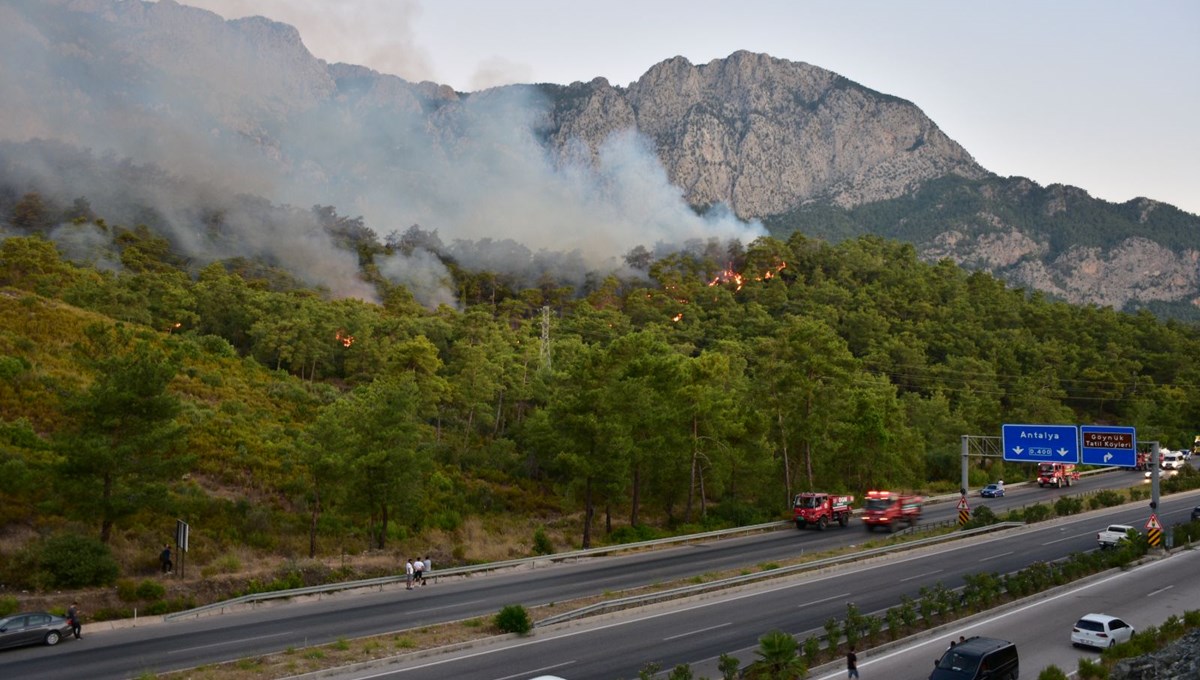 Turizm cenneti Kemer'de orman yangını