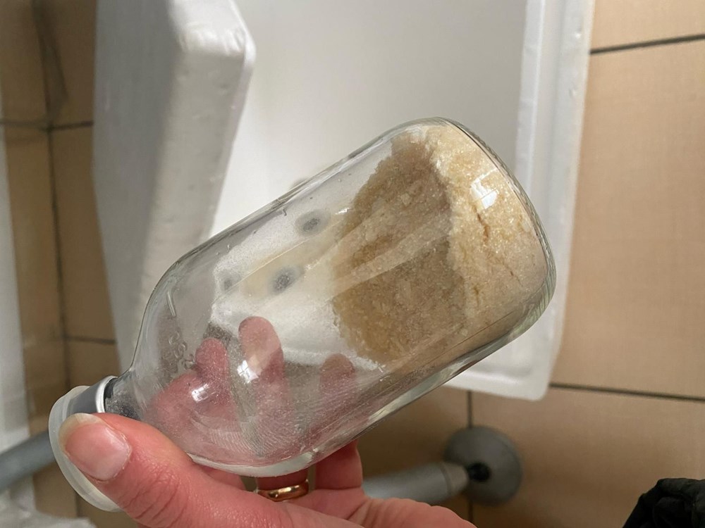 Gen Terapisi Dolandırıcılığı: Laboratuvar Kapatıldı! 70