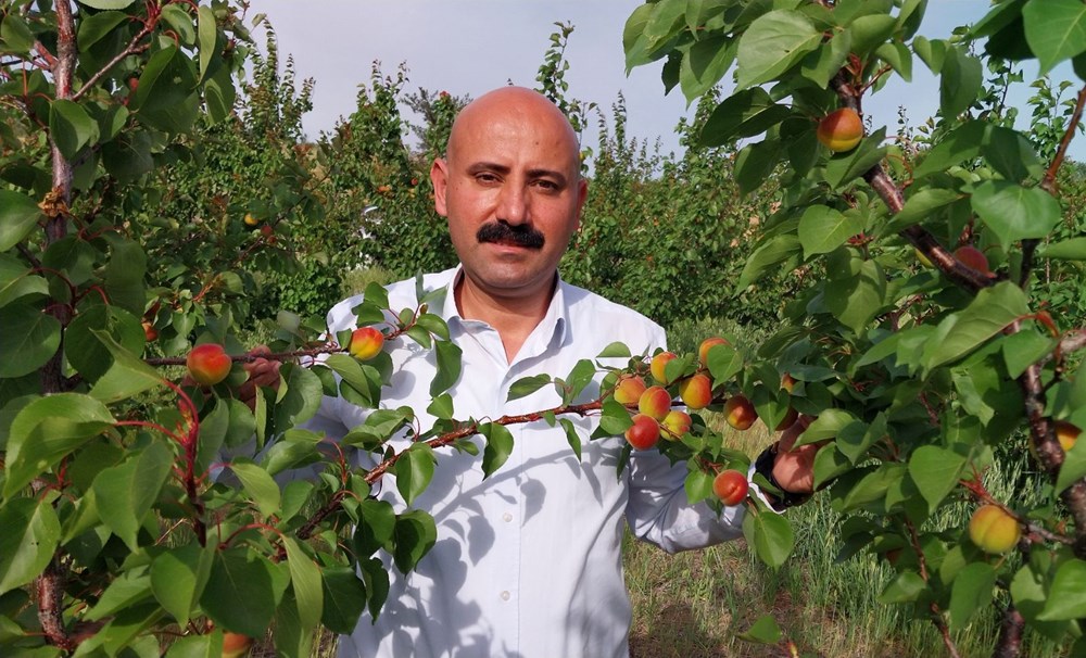 Birinci hasat yapıldı: 500 TL'den alıcı buldu 73