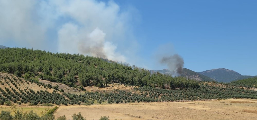 4 ilde orman yangını: Ekiplerin müdahalesi sürüyor - 12