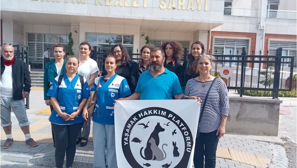 Köpeğe cinsel saldırı sanığına 1 yıl 9 ay hapis ve para cezası