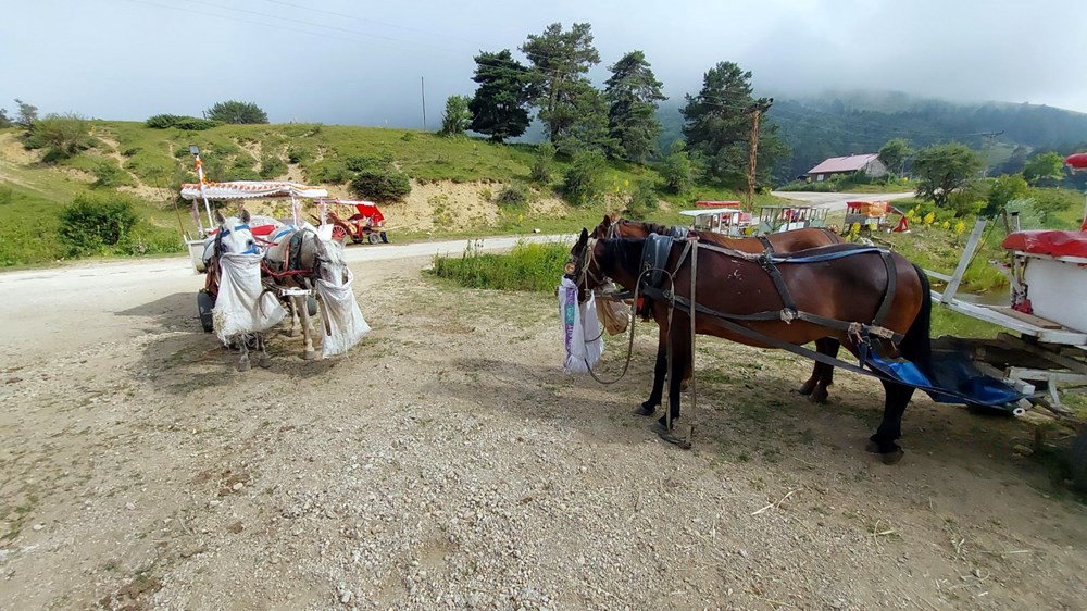 Abant Milli Parkı'nda fayton yasaklandı - 6