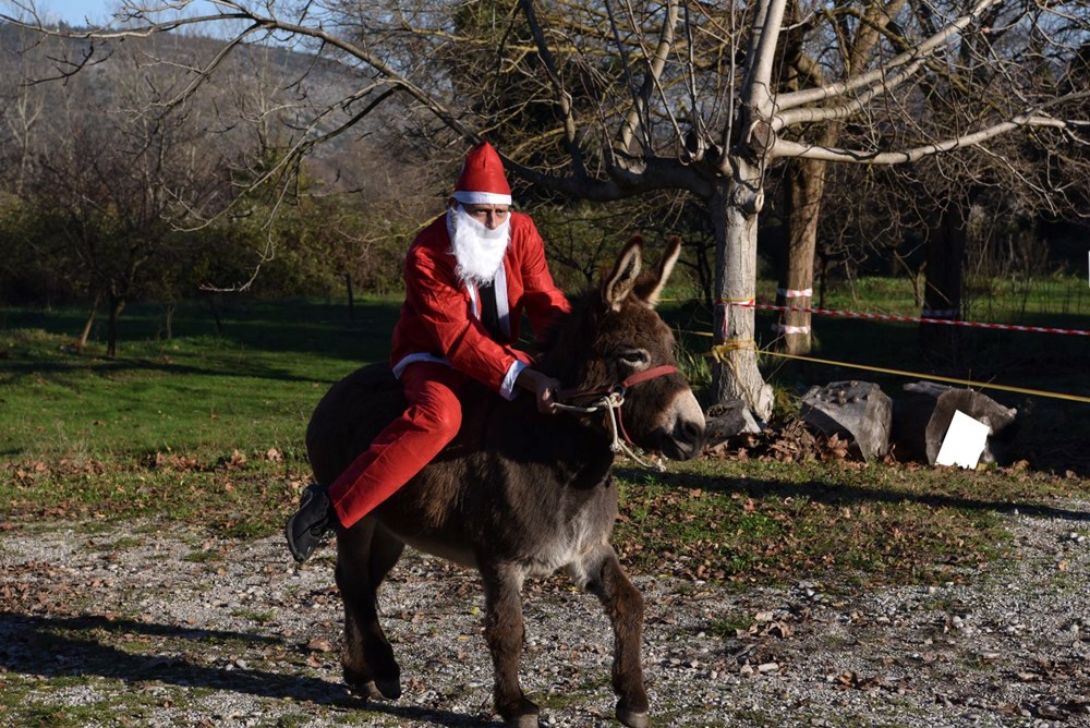 Bosna Hersek'te geleneksel Noel babalı eşek yarışı düzenlendi - 4