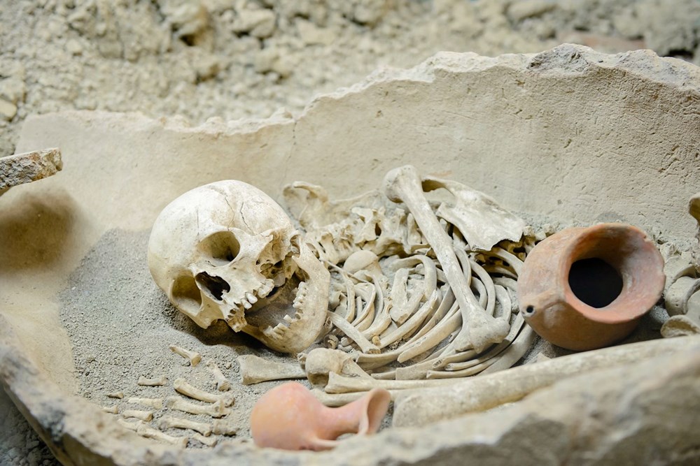 İsrail'de 1,5 milyon yıllık insan omuru bulundu: İnsanlık tarihinin bilinmeyenleri ortaya çıktı - 5