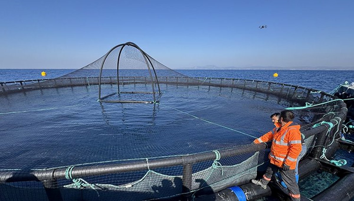 Hatay'dan Avrupa'ya balık ihracatı