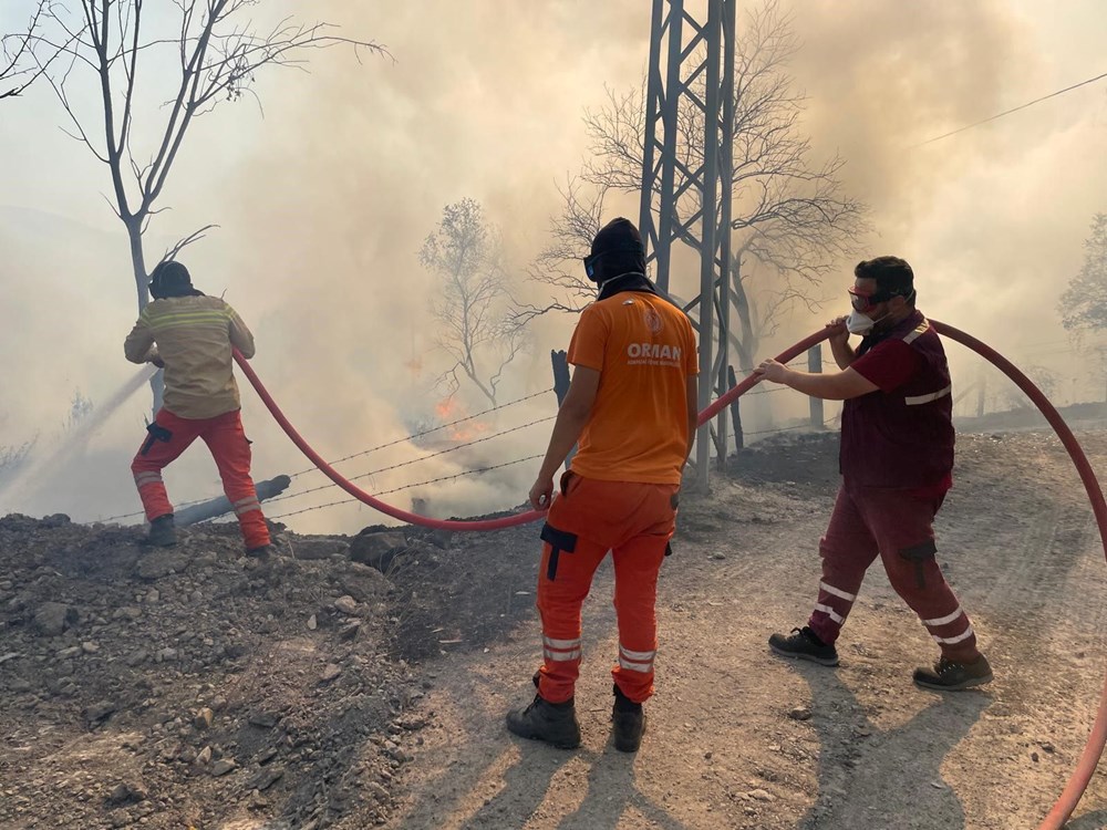 Kocaeli, Karaman, Afyonkarahisar ve Diyarbakır'da orman yangını - 3