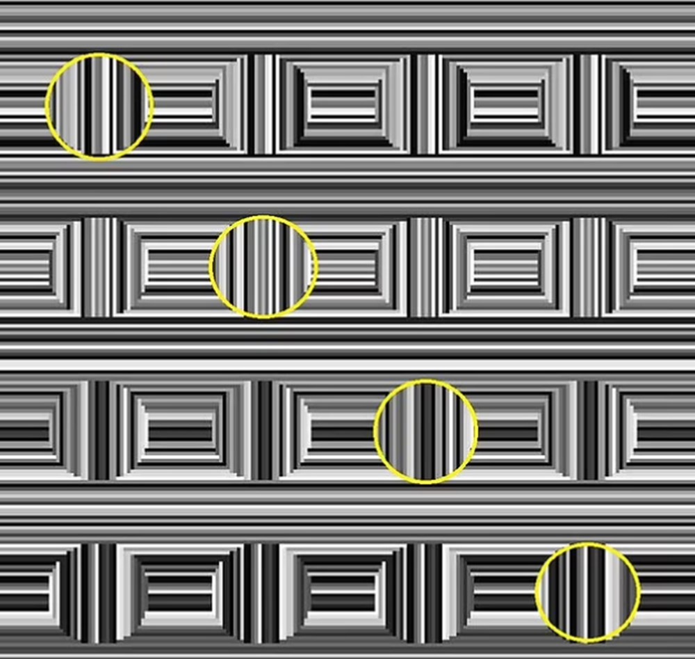 Bu görsel size kim olduğunuzu söylüyor: Resimde ilk önce hangi hayvanı gördünüz? - 60